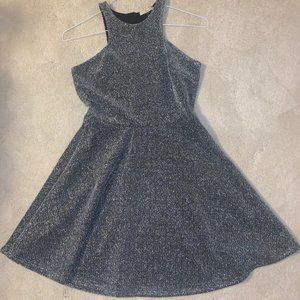 Gorgeous Trendy Shimmery Skater Dress